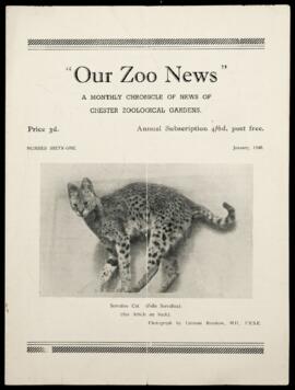 Our Zoo News 61