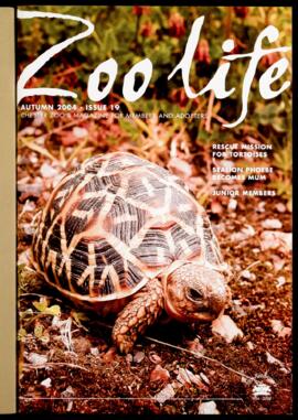 Zoo Life 2004  (Autumn)