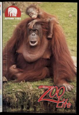 Zoo Life 1995  (Autumn)