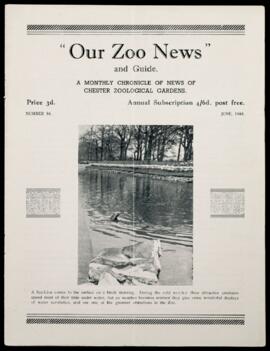 Our Zoo News 84