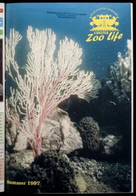 Zoo Life 1997 (Summer) 