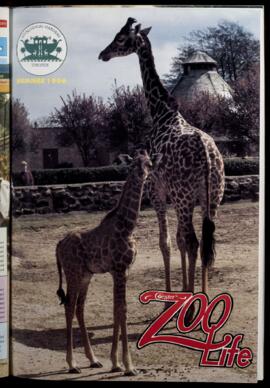 Zoo Life 1996 (Summer) 