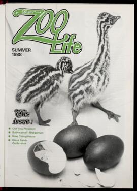 Zoo Life 1988 (Summer) 