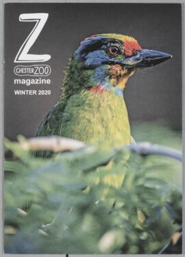 Z Magazine Winter 2020