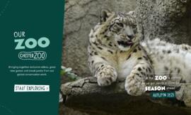 Our Zoo (Autumn 2023)