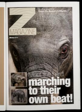 Z Magazine 2010 (Winter)
