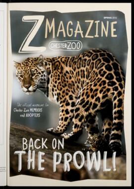 Z Magazine 2012 (Spring)