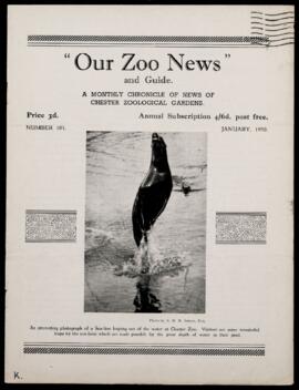 Our Zoo News 101