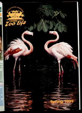Zoo Life 1999 (Spring)