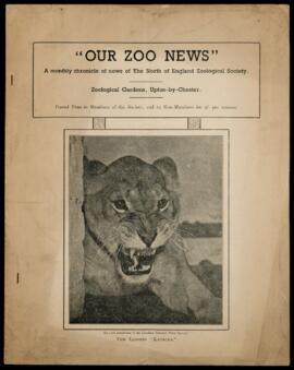 Our Zoo News 13