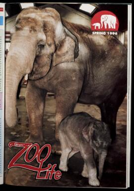 Zoo Life 1996 (Spring)