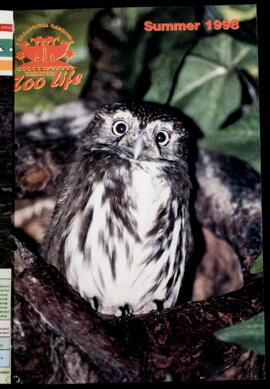 Zoo Life 1998 (Summer) 
