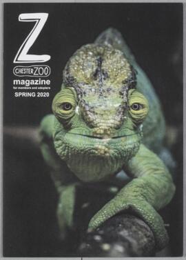 Z Magazine Spring 2020