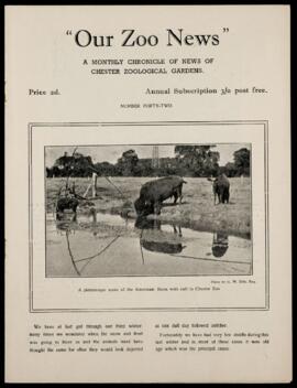 Our Zoo News 42