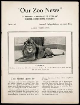 Our Zoo News 37