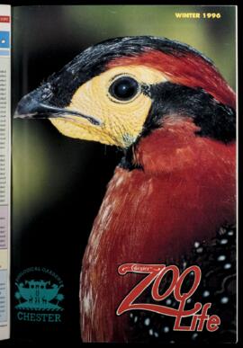 Zoo Life 1996 (Winter) 